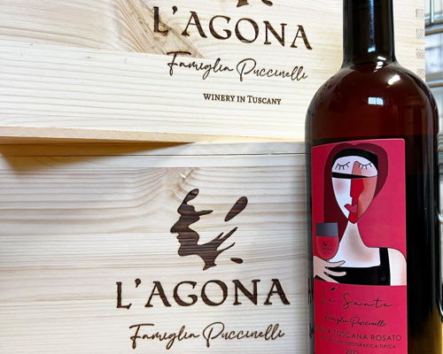 Tour enogastronomici Terricciola: Terricciola: Visita in Cantina con degustazione di 3 vini
