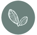 Biodiversity