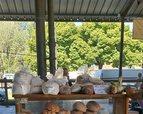 Food & Wine Tours Lucca: Farmer's market and cooking class