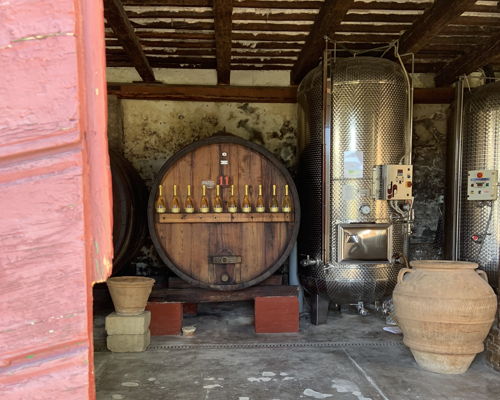 Food & Wine Tours Rimini: Winery and dairy tour with pasta and piadina cooking class