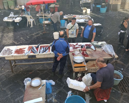 Tour enogastronomici Catania: Tour al mercato del pesce di Catania: un'esperienza unica