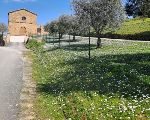 Food & Wine Tours Paciano: Between art and food: discovering Umbrian delights